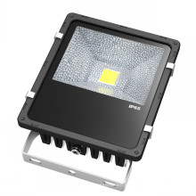 COB viruta 50W LED reflector IP65 5 años de garantía Ce RoHS